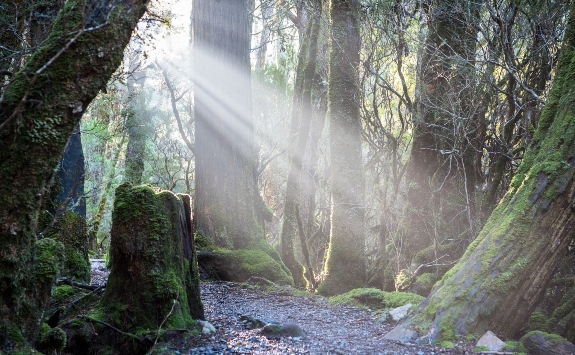 Tasmania
